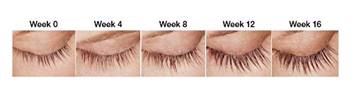 DERMAWORKS Duo Set: 1x Lash Serum for Eyelash Growth + 1x Eyebrow Growth Serum for Thicker Brows - Eyelash Serum to Grow Lashes - Eyelash Growth Serum for Eye Lashes - Eyebrow Serum to Grow Brows