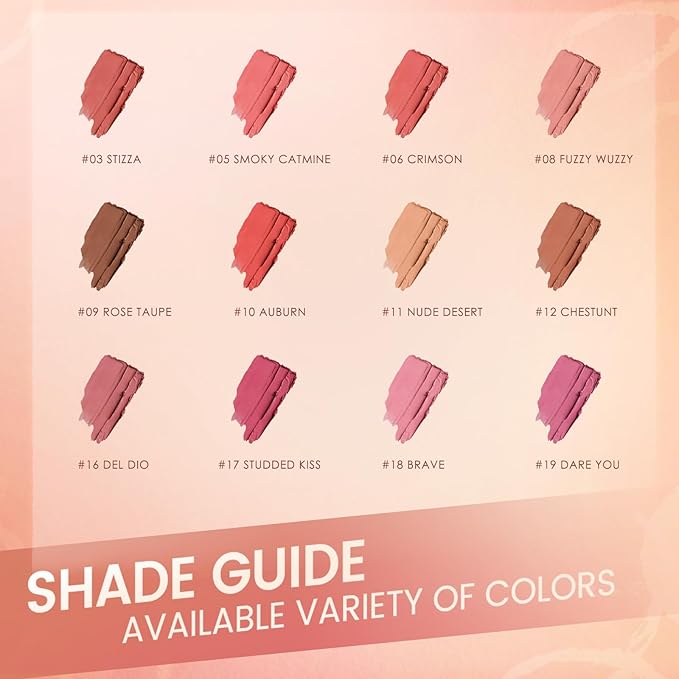 FOCALLURE Ultra Chic Matte Lipstick,Rich Vitamin E Lip Crayon,Lightweight Matte Color without Drying or Fading,Long Lasting Waterproof Lips Makeup,CHESTUNT