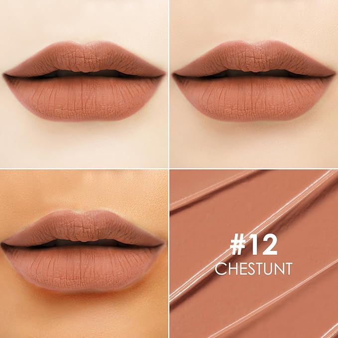 FOCALLURE Ultra Chic Matte Lipstick,Rich Vitamin E Lip Crayon,Lightweight Matte Color without Drying or Fading,Long Lasting Waterproof Lips Makeup,CHESTUNT