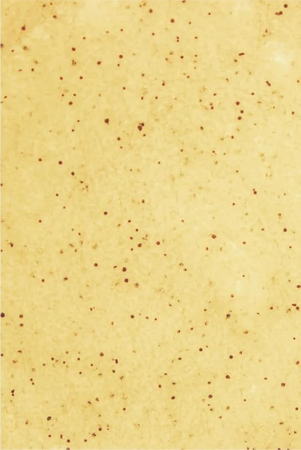Crystal Clear Crystal Face & Body Polish - Exfoliating Scrub with Micro Crystals and Sea Salt - Face and Body Scrub - Anti Aging Exfoliator