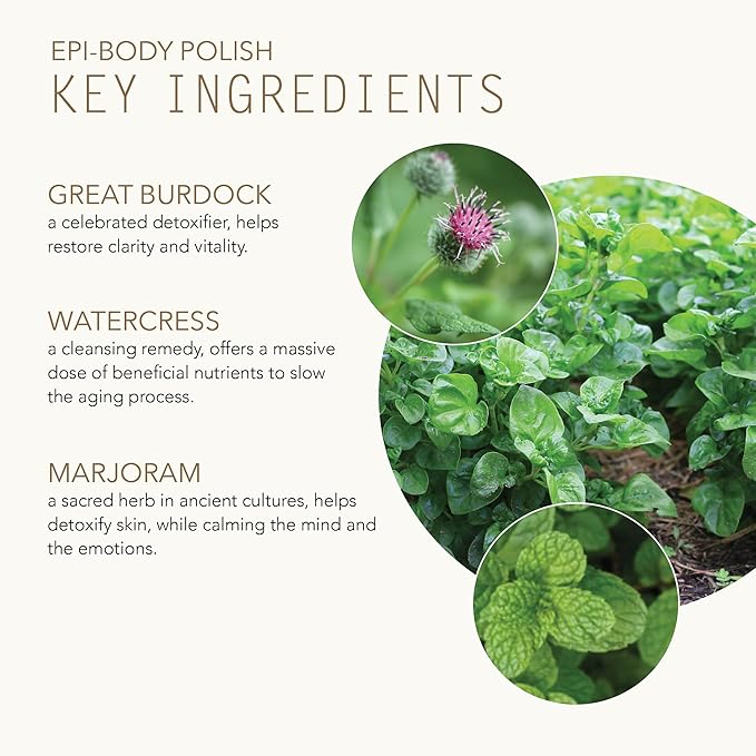 Tammy Fender - Epi-Body Polish | Natural, Organic, Cruelty Free, Non-Toxic Spa-Like Skincare | Exfoliating Scrub & Body Mask | Soft, Radiant Skin (8 oz | 225 g)